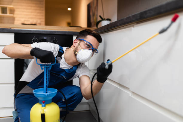 Best Mosquito Control Services  in Ellijay, GA