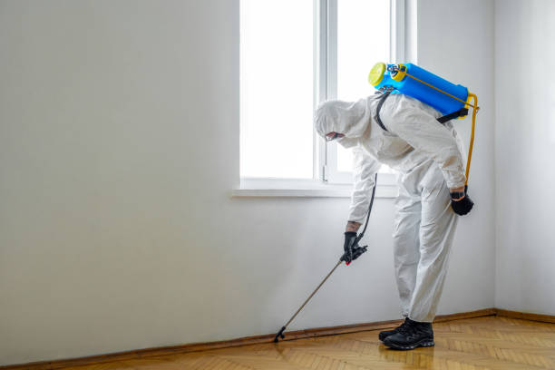 Best Pest Prevention Services  in Ellijay, GA