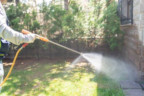 Best Best Pest Control Companies  in Ellijay, GA