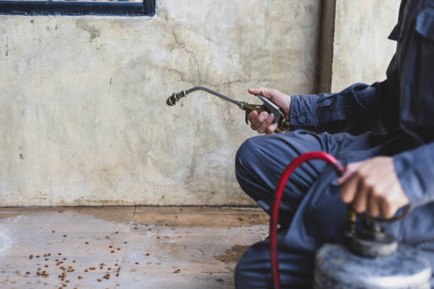 Best Emergency Pest Control  in Ellijay, GA